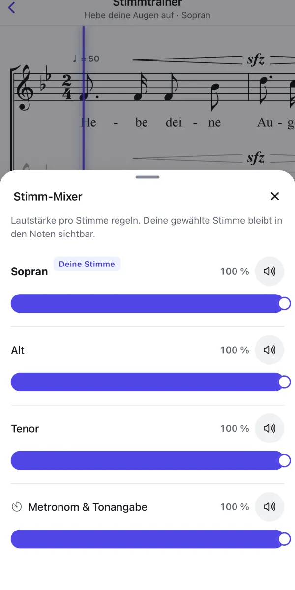 Stimmtrainer